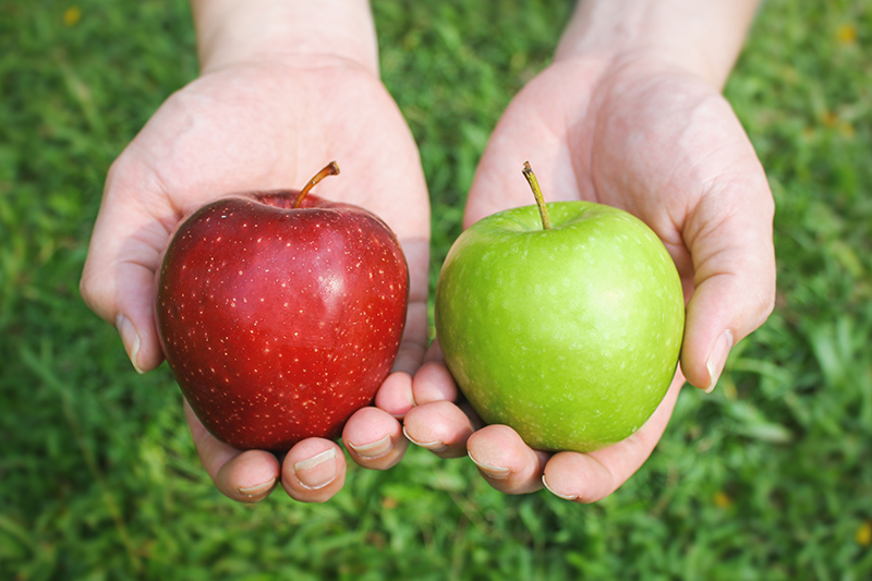 Featured image for “How to Compare Private Student Loan Lenders”